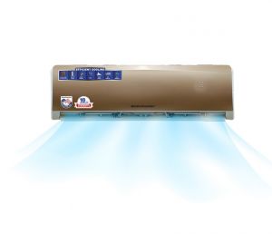 Kelvinator 02 Ton Golden Inverter AC